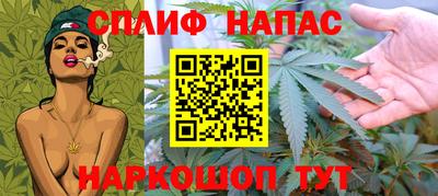 ECSTASY Новокубанск