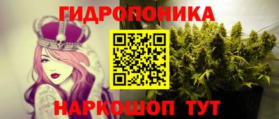 MDMA Новозыбков